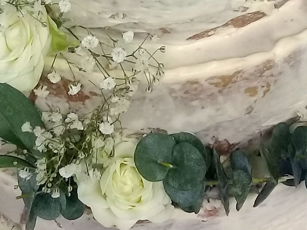 Camino del Viento - Torta de Menta y Mango - Imagen 3